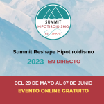 summit 2023